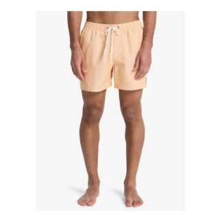 Quiksilver Everyday Deluxe Volley 15 Badshorts