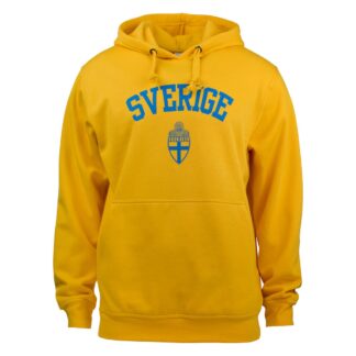Clique Retail Basic Hoody Jr Swe