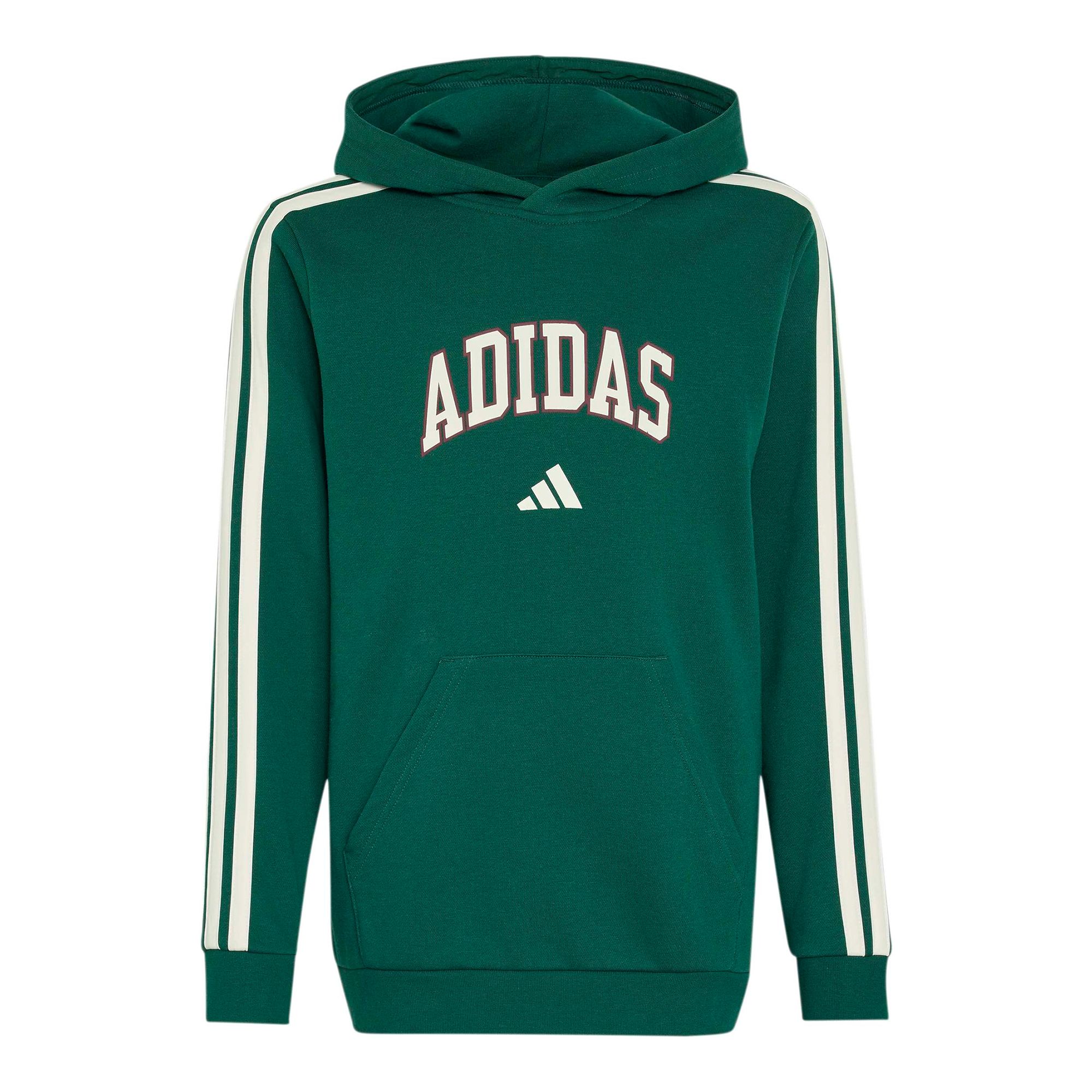 Adidas Codes Collegiate Graphic Hoodie Jr Huvtröja