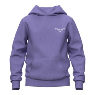 Björn Borg Borg Essential 1 Hoodie Jr Huvtröja