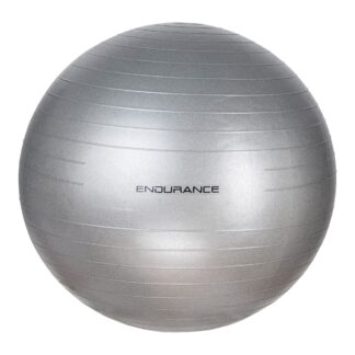 Endurance Gym Ball 65 Cm