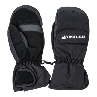 Whistler Wido Mitten Gloves M Vantar