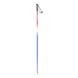 Scott Pole Sun Valley Alpinstavar